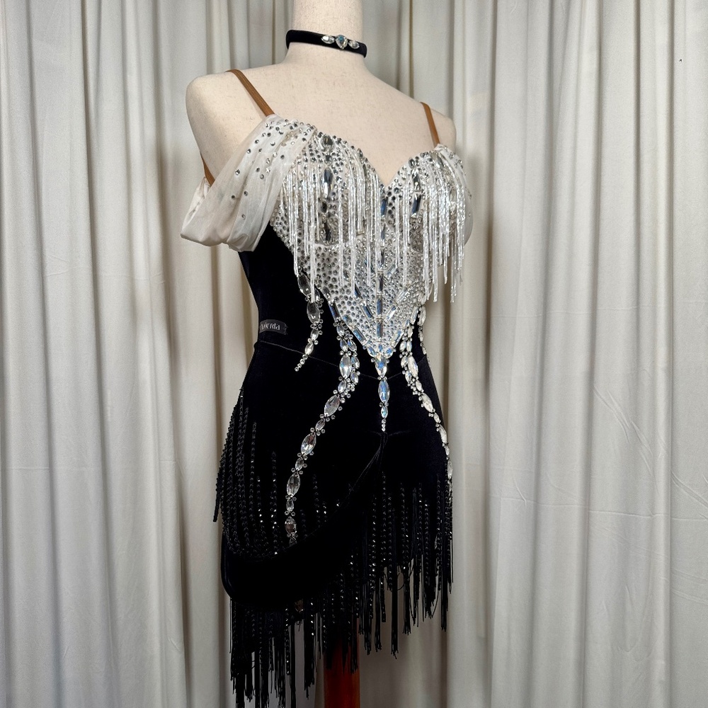 Latin Ballroom Chacha Salsa dress